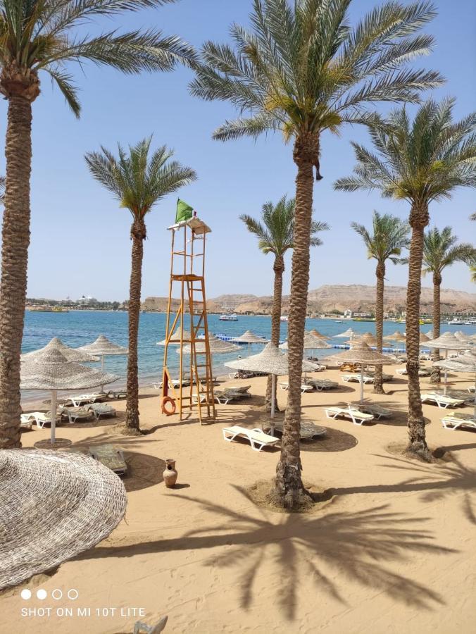 Seti Sharm Palm Beach Resort Families And Couples Only Exteriör bild